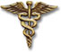 Caduceus Pin - Antique Gold